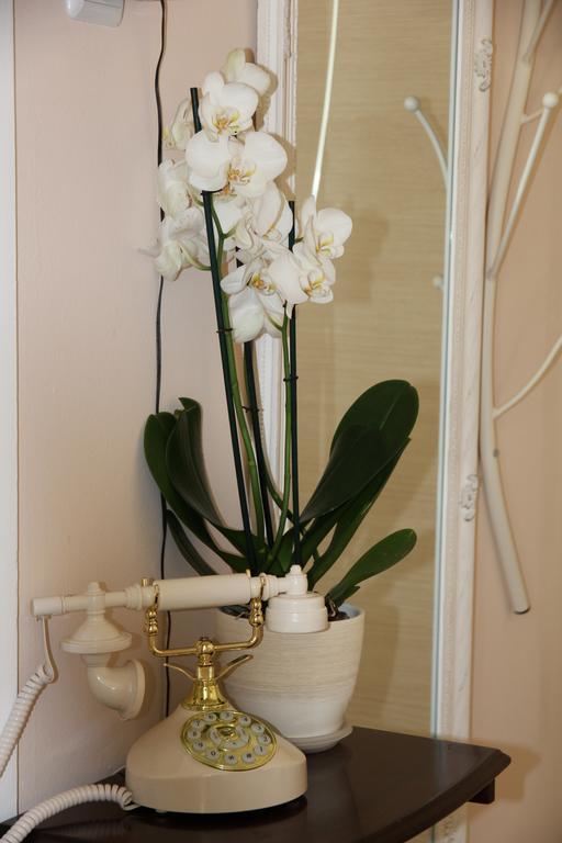 Olga'S Studio アテネ 部屋 写真